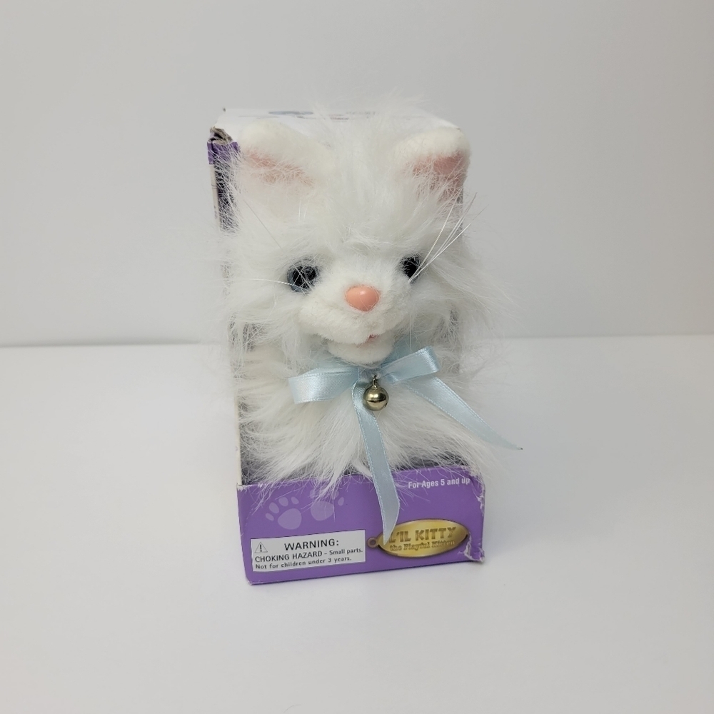 Lil kitty playful cat